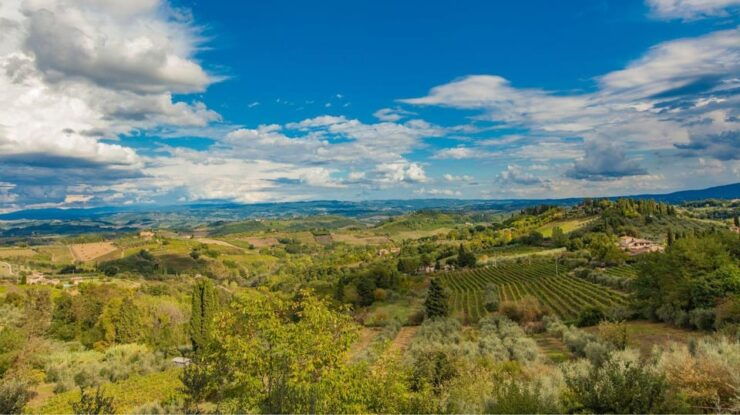 Peccioli Valdera 2 Hour E-Bike Guided Tour + Wine Tasting - Good To Know