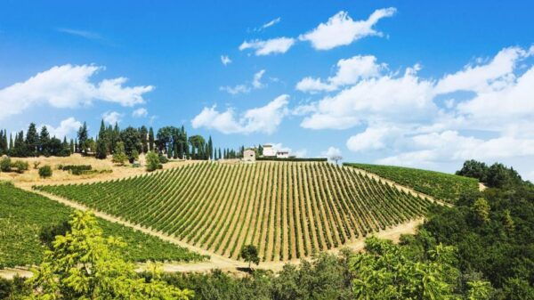 Peccioli Valdera 2 Hour E-Bike Guided Tour + Wine Tasting - Frequently Asked Questions
