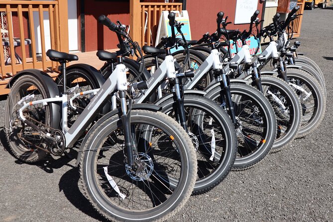 Pedal and Paddle Wine Tour in Arizona - Inclusions and Amenities