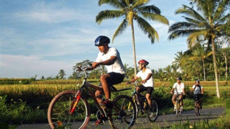 Pedal Bike Through Rice Terraces, Forests and Lawang Caves - Good To Know