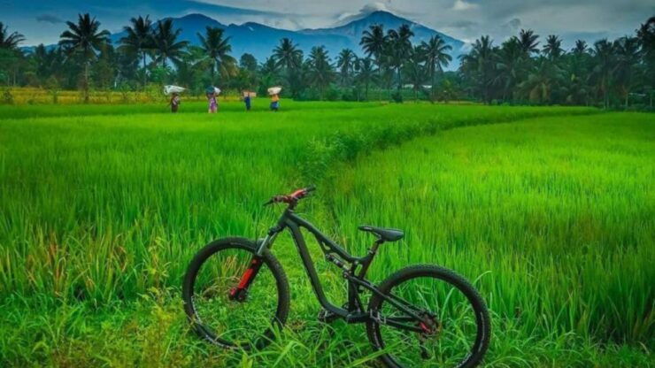 Pedal Bike Through Rice Terraces, Forests and Lawang Caves - Tour Highlights