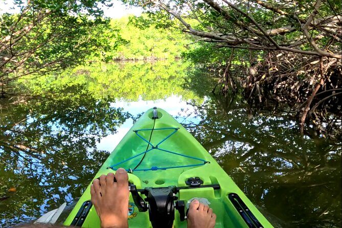 Pedal Kayak Mangrove Tunnel Tour in Bradenton - Pedal Kayak Mangrove Tunnel Tour in Bradenton: A Detailed Review