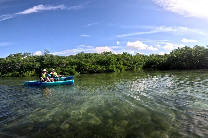 Pedal Kayak Mangrove Tunnel Tour in Bradenton - Good To Know