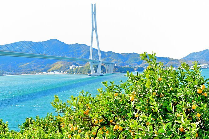 Pedal Through Art Ikuchijima Island Cycling Tour - Good To Know
