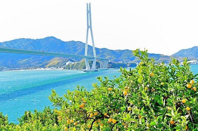 Pedal Through Art Ikuchijima Island Cycling Tour - Authenticity and Hidden Gems