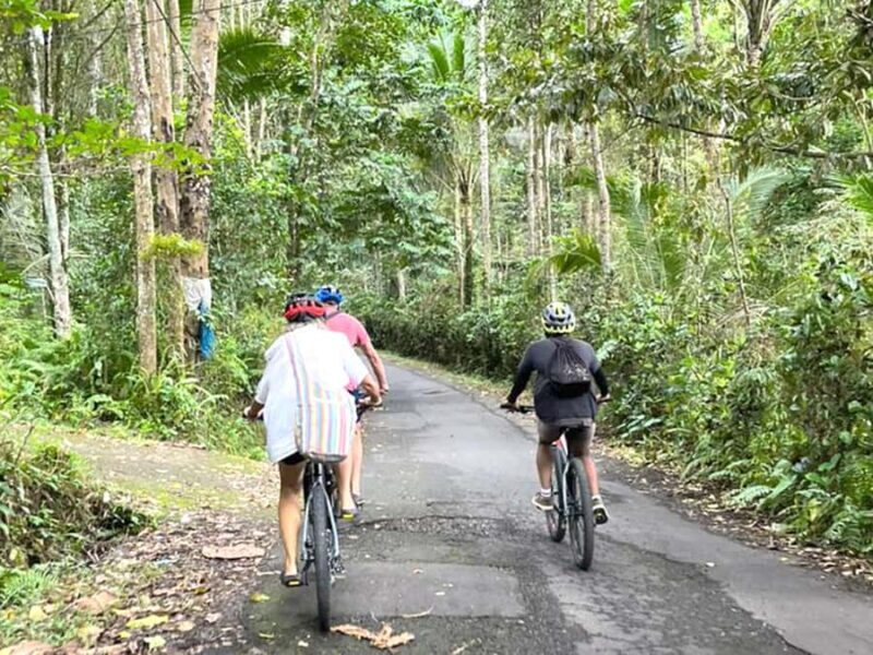 Pedal Through Paradise: Bali Wanderlust Sidemen Cycling Tour - A Closer Look at the Experience