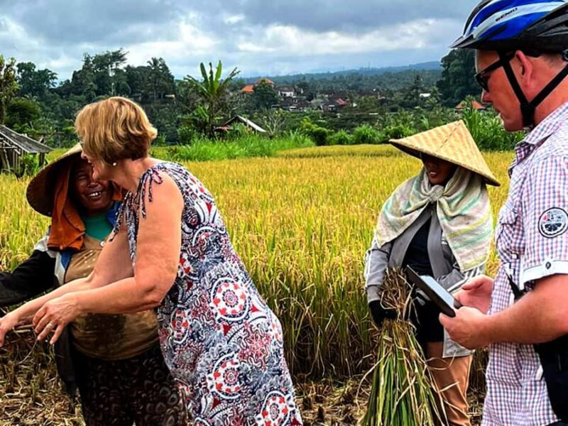 Pedal Through Paradise: Bali Wanderlust Sidemen Cycling Tour - The Value of the Tour