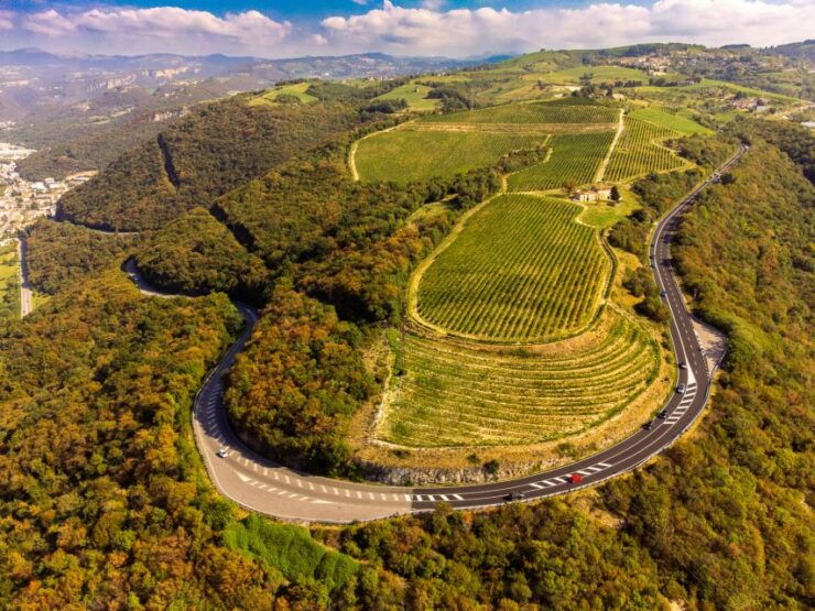 Pedemonte: Cellar Tour and Tasting of 3 Valpolicella Wines - Good To Know