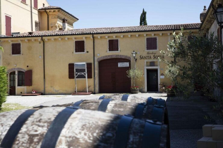 Pedemonte: Cellar Tour and Tasting of 3 Valpolicella Wines - Tour Highlights