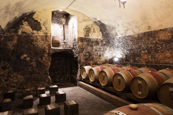 Pedemonte: Cellar Tour and Tasting of 3 Valpolicella Wines - The Sum Up