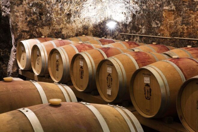 Pedemonte: Valpolicella Tour and Tasting of Regional 4 Wines - Customer Reviews