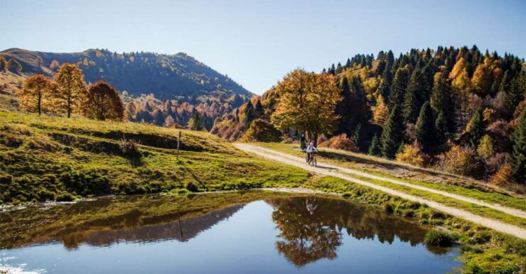 Pederobba: Guided E-Bike Tours in the Prosecco Hills - Booking Information