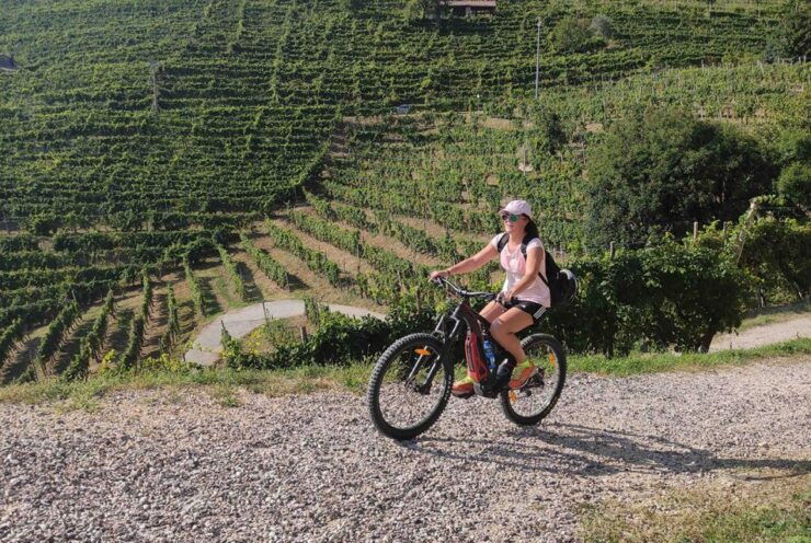 Pederobba: Guided E-Bike Tours in the Prosecco Hills - Experience Highlights