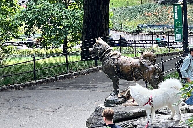 Pedicab 1 Hour Central Park Tour - The Ride and Experience