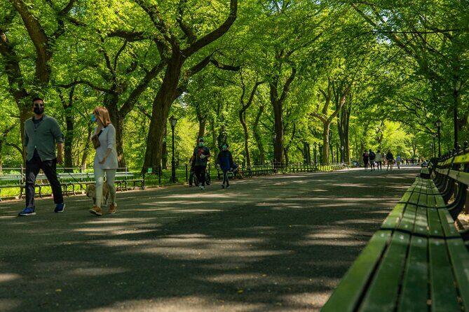 Pedicab 1 Hour Central Park Tour - Practical Details and Tips