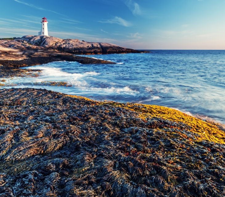 Peggy's Cove: Half-Day Private Tour From Halifax - Booking Details and Flexibility