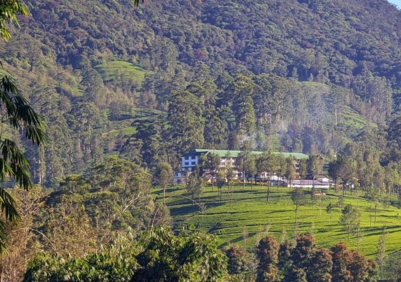 Pekoe Trail 10-16: 8-Day Guide Trail with Hotels & Transfers - Day 3: Horton Plains to Haputale via Tea Fields