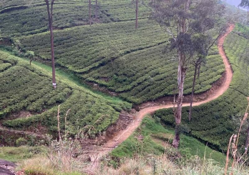 Pekoe Trail 6-9: Guided 6 Day Trail with Hotels & Transfers - FAQ