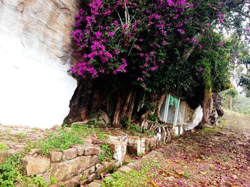 Pekoe Trail 6-9: Guided 6 Day Trail with Hotels & Transfers - Cost and Value