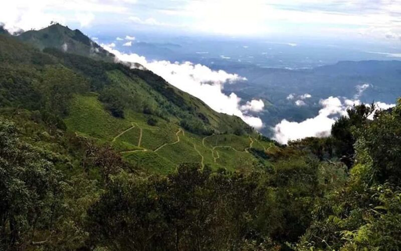 Pekoe Trail Stage 11 Guided Hike (Horton Plains-Udaweriya) - The Experience in Detail