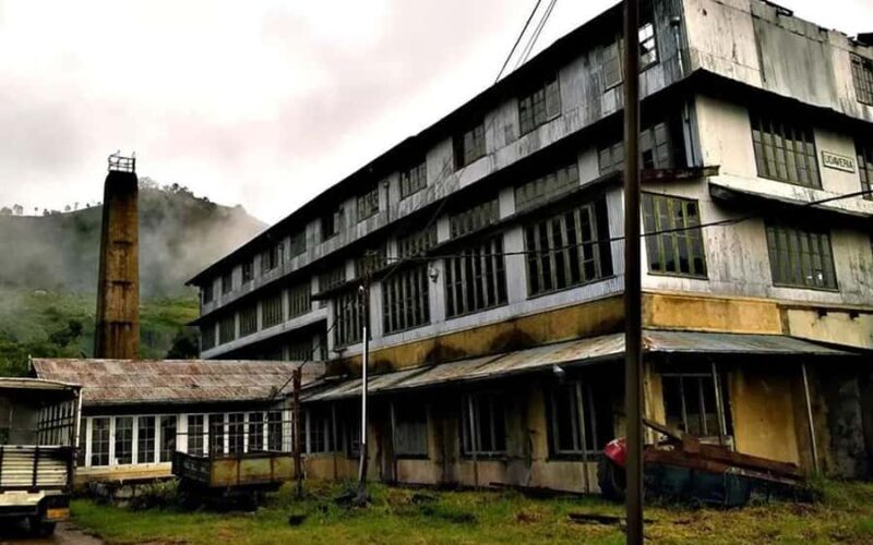 Pekoe Trail Stage 11 Guided Hike (Horton Plains-Udaweriya) - The Value of This Experience