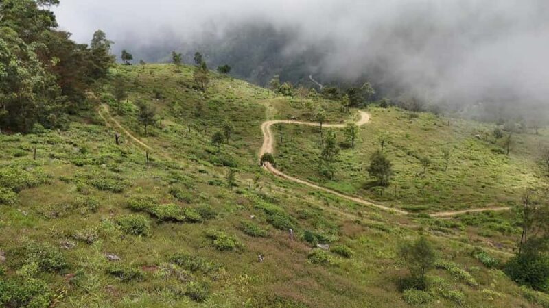Pekoe Trail Stage 11 Guided Hike (Horton Plains-Udaweriya) - Who Will Love This Tour?