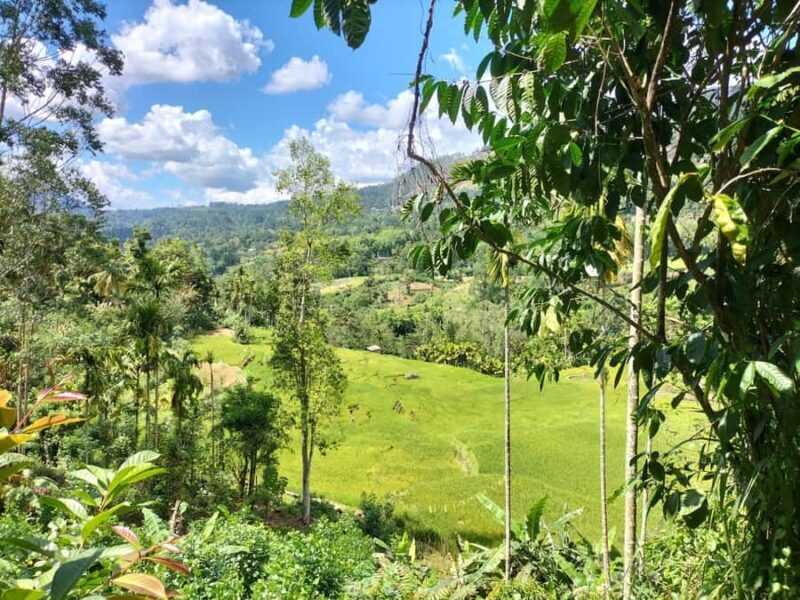 Pekoe Trail Stage 4 Guided Hike (Tawalantenne-Pundaluoya) - Good To Know