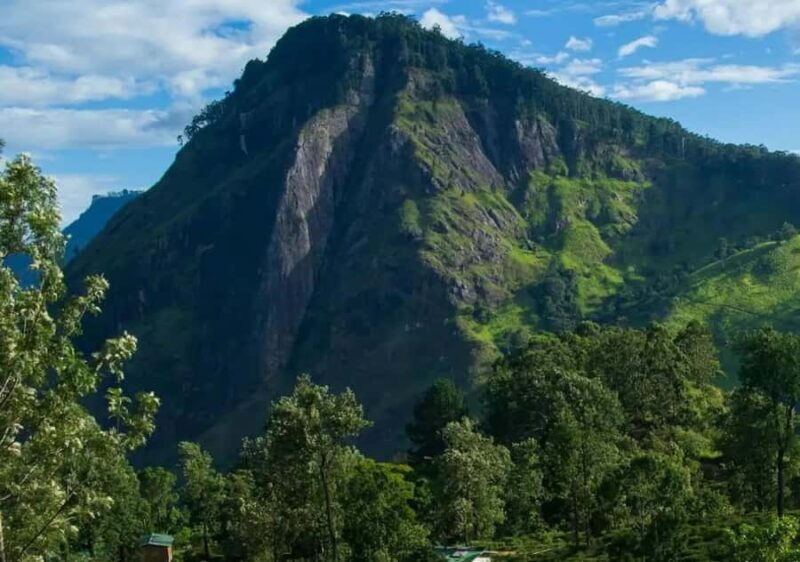 Pekoe Trail Stage 4 Guided Hike (Tawalantenne-Pundaluoya) - Good To Know