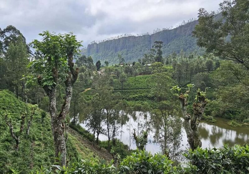 Pekoe Trail Stage 5 Guided Hike (Pundaluoya-Watagoda) - Exploring the Pekoe Trail Stage 5 Guided Hike: Pundaluoya to Watagoda