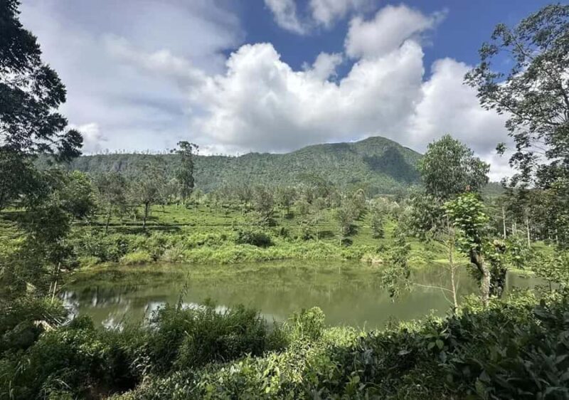 Pekoe Trail Stage 5 Guided Hike (Pundaluoya-Watagoda) - The Experience & What Travelers Say