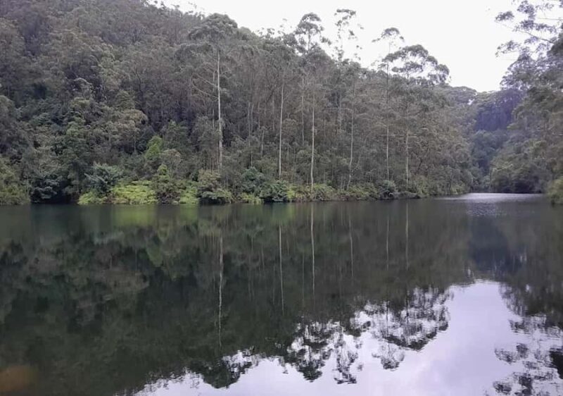 Pekoe Trail Stage 6 Guided Hike (Watagoda-Kotagala) - A Detailed Look at the Pekoe Trail Stage 6 Guided Hike