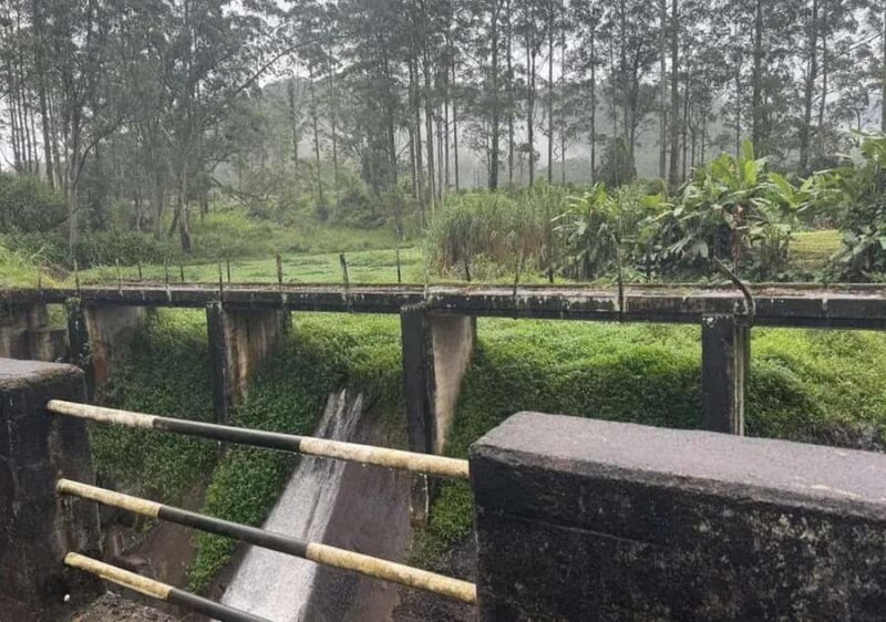 Pekoe Trail Stage 9 Guided Hike (Bogawantalawa-Dayagama) - Good To Know