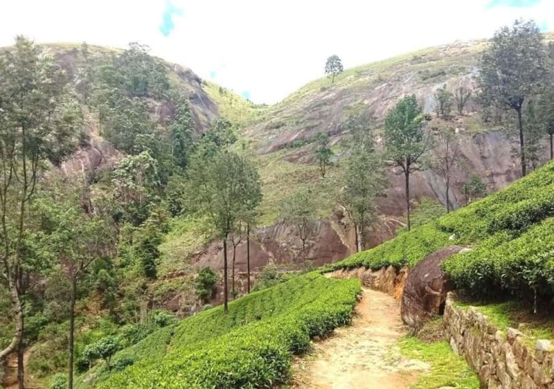 Pekoe Trail Stage 9 Guided Hike (Bogawantalawa-Dayagama) - Cost and Value