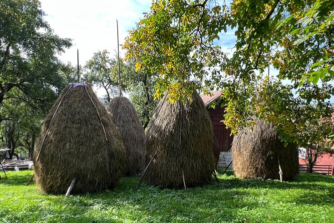 Peles Castle and Authentic Romanian Village Experience - Day Trip - Dining Experience