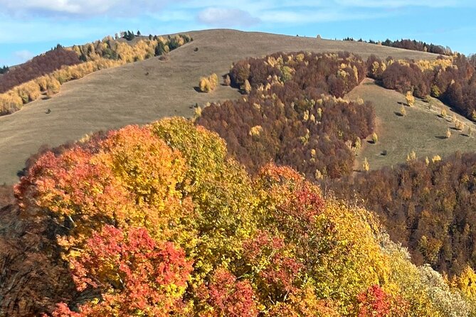 Peles Castle and Authentic Romanian Village Experience - Day Trip - Booking Information