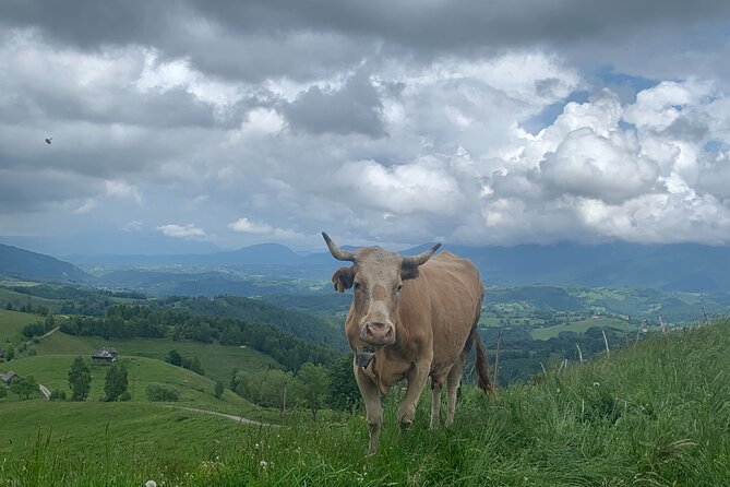 Peles Castle and Authentic Romanian Village Experience - Day Trip - The Sum Up