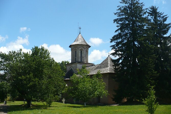 Peles Castle and Targoviste Draculas Princely Court Tour From Brasov - Pricing Details