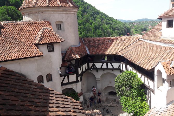 Peles Castle , Bran Castle , Rasnov Fortress,Sinaia Monastery Tour From Brasov - Tour Details