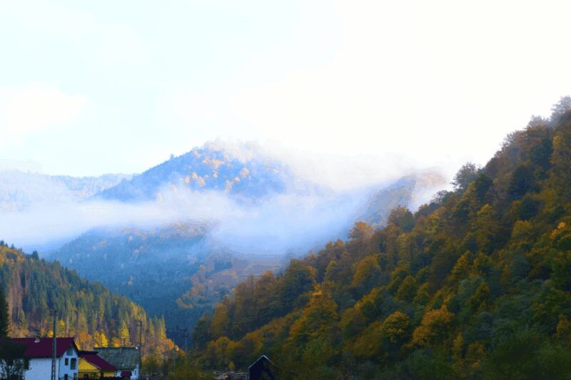Peles Castle &Carpathian:Royal Journey Through the Mountains - The Sum Up