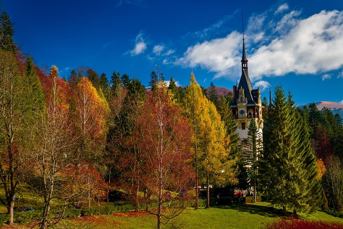 Peles Royal Castle & Wine Tasting - 9 Hours - Customer Reviews and Ratings