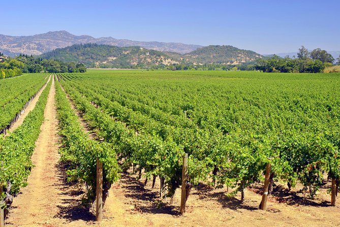 Peles Royal Castle & Wine Tasting - 9 Hours - Confirmation and Accessibility