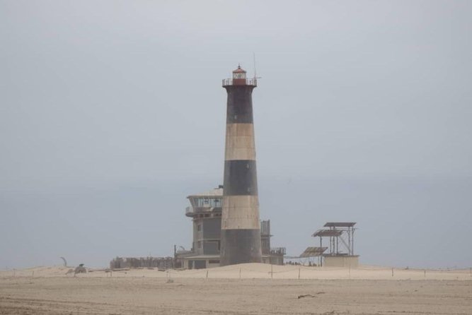 Pelican Point Seal Colony 4x4 Tour - Reviews and Ratings