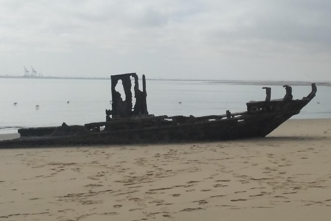 Pelican Point Seal Colony 4x4 Tour - Booking Information