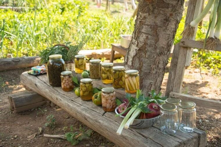 Pelion Private Nature Experience : Farm-to-Table Cooking - Who Will Love This Tour?