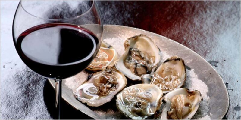 Peljeac Wine & Oyster Tasting Private Tour - Who Should Consider This Tour?