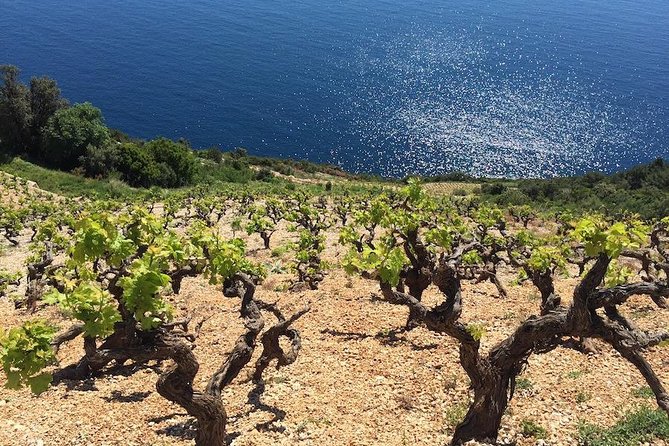 Peljesac and Ston Private Wine Tour With Tastings From Dubrovnik - Additional Info