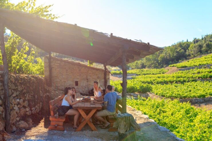 PelješAc Full-Day Wine and Food Tour From Dubrovnik - Tour Duration & Guide Information