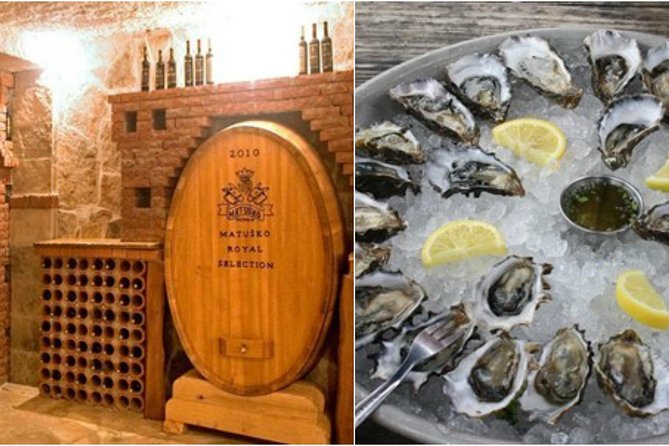 Peljesac Peninsula Wine Tasting Luxury Tour From Dubrovnik - Itinerary Overview