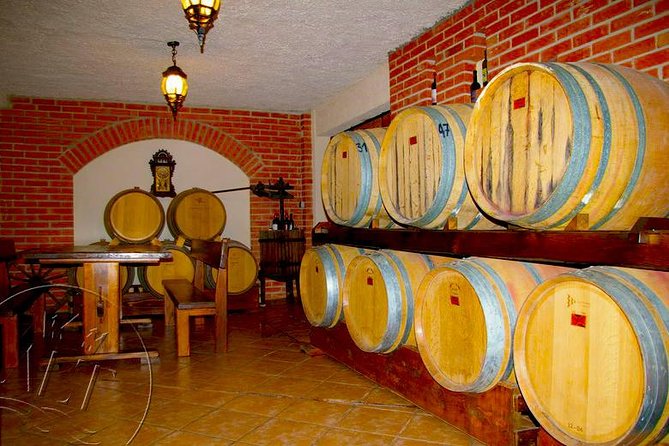 Peljesac Vineyards & Oysters - Private Day Trip From Dubrovnik-Mercedes Vehicle - Tour Logistics