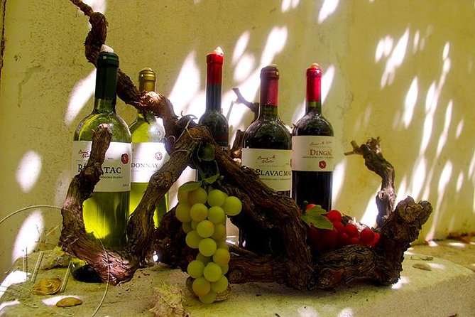 Peljesac Vineyards & Oysters - Private Day Trip From Dubrovnik-Mercedes Vehicle - Cancellation Policy